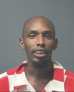 Mugshot of BROWN, DARRELL