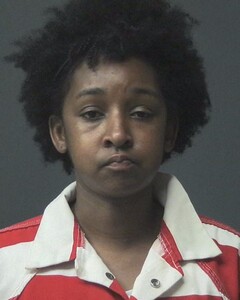 Mugshot of GAINES, JOSEPHINE  