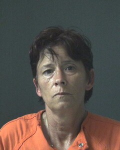 Mugshot of MCGHEE, TRACY