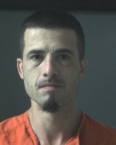 Mugshot of WEESE, JOSEPH