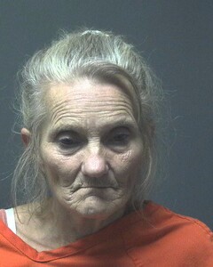 Mugshot of HATTON, LORI