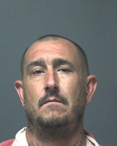 Mugshot of IVY, JAMES