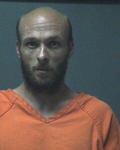 Mugshot of ODOM, NIKKI