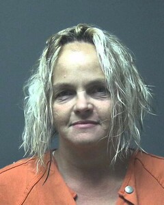 Mugshot of ADKINS, LYNDA