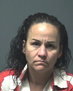 Mugshot of GIBSON, WANDRA