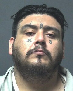 Mugshot of MENDOZA, VICTOR