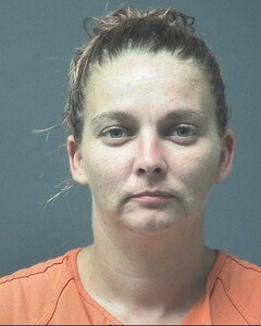 Mugshot of JANZEN, JAMIE