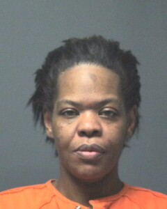 Mugshot of JACKSON, HEIDI