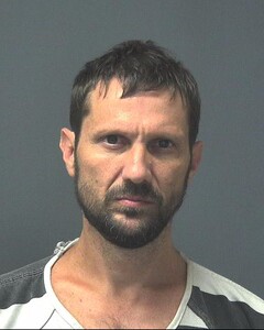 Mugshot of SHAW, DAVID