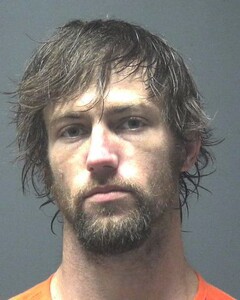 Mugshot of PACE, HOUSTON