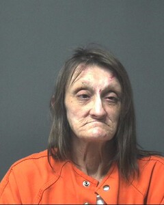 Mugshot of MEADOWS, PATRICIA