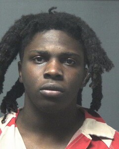 Mugshot of LONG, EMONEE