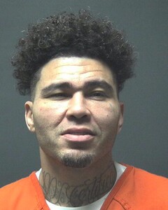 Mugshot of PRICE, ELGEE