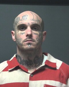 Mugshot of BELL, TREVOR
