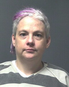 Mugshot of HARVILLE, MELANIE