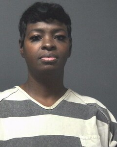 Mugshot of DUNN, ERICA