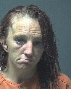 Mugshot of DUNNUCK, AMANDA
