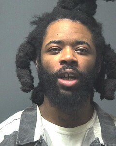 CAMERON HOLLINS