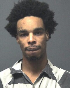 Mugshot of CARL, DERRICK