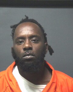 Mugshot of JENKINS, ARTAVINA