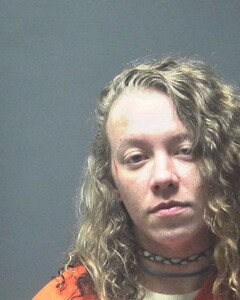 Mugshot of WARD, CHANLEY