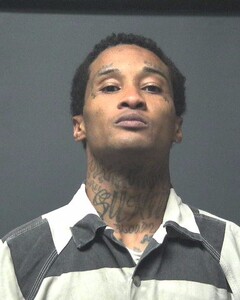 Mugshot of RIELS, JAMES