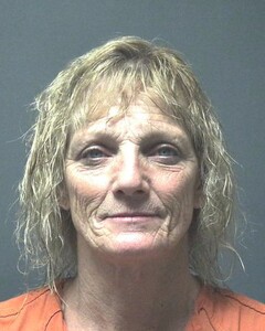 Mugshot of NELSON, KAREN