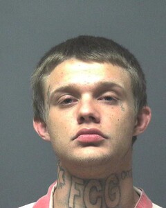 Mugshot of STABLER, ROBERT