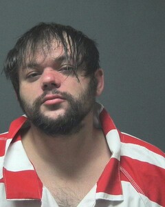 Mugshot of MARTIN, BRANDON