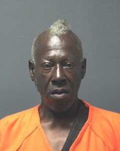 Mugshot of RANKINS, JERRON
