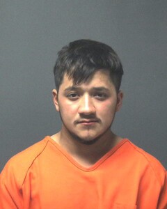 Mugshot of MORALES, JORGE