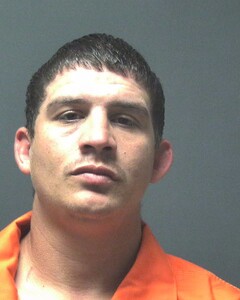 Mugshot of ROLIN, DILLON