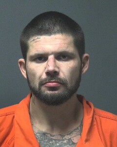 Mugshot of HAYLES, MICHAEL