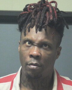 Mugshot of WILLIAMS, DAVID
