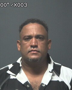 Mugshot of PICHARDO RESTITUYO, HECTOR FERNELI