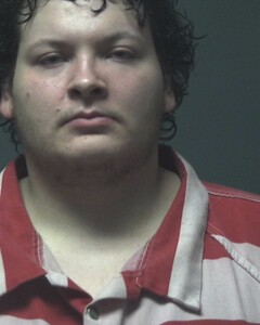 Mugshot of LEE, ANTHONY