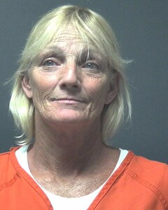 Mugshot of NELSON, KAREN