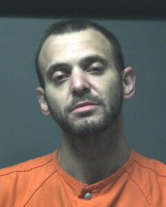 Mugshot of PEACOCK, SKYLAR