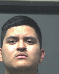 Mugshot of ALVARADO, NESTOR