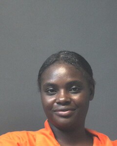 Mugshot of ROBINSON, BRIANNA