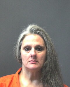 Mugshot of EARWOOD, KIMBERLY