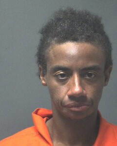 Mugshot of WOOLEN, DEANDREA