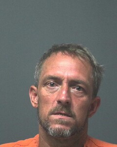 Mugshot of WILLIS, WARNER