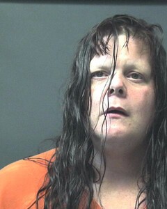 Mugshot of DIGUILIO, AMANDA