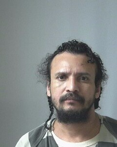 Mugshot of YANEZALVAREZ, MARLON