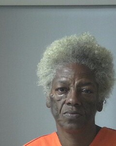 Mugshot of JESSIE, MONIQUE