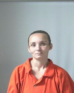 Mugshot of HARRISON, SHARON
