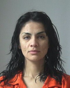 Mugshot of GUITIEREZ, GABIELA  