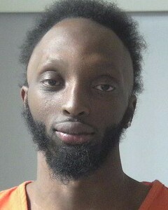 Mugshot of RUDOLPH, CAMRON