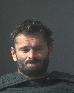 Mugshot of WILLIAMSON, JAMES